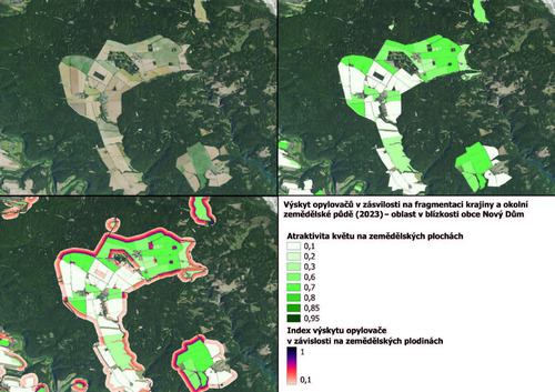 Mapa 4: Názorná ukázka vlivu fragmentace krajiny a atraktivity květu na zemědělských plochách. Mapové výseče prezentují oblast v blízkosti obce Nový Dům.