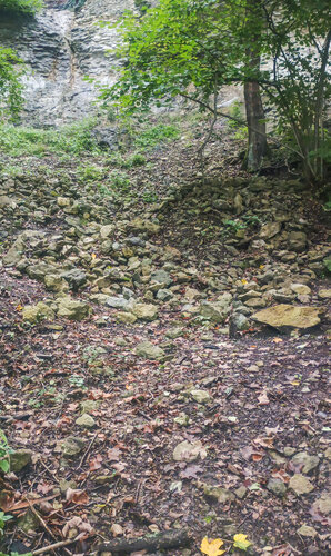 Záběr na suťový les. Foto Jan Višinský