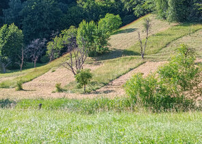Český ráj a jeho louky