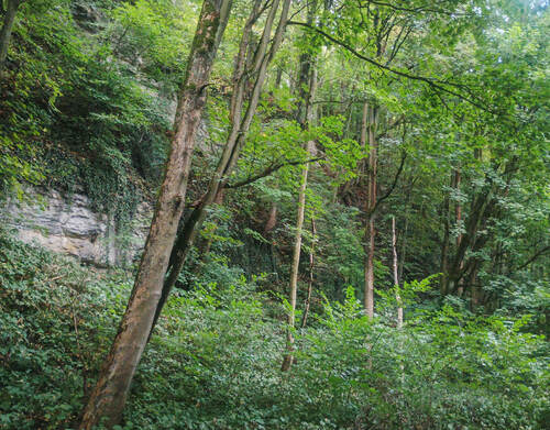 Skalní výchozy vysoké i přes dvacet metrů. Foto Jan Višinský