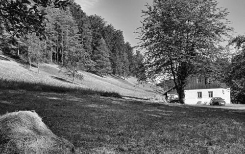 In the Český ráj/Bohemian Paradise Protected Landscape Area, meadows are an important element contributing to the picturesque landscape/scenic beauty there. Photo by Jan Višinský
