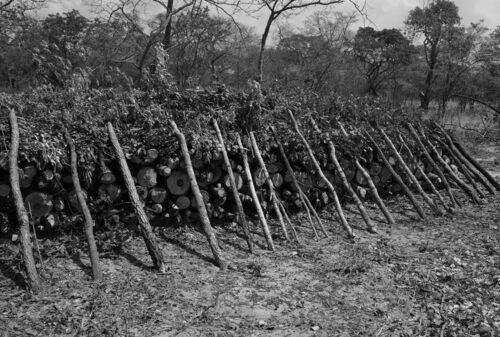 Materiál na výrobu dřevěného uhlí na západě Zambie.   Foto Jan Plesník