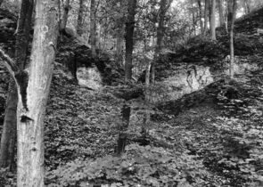 SUMMARY – Ochrana přírody 5/2025