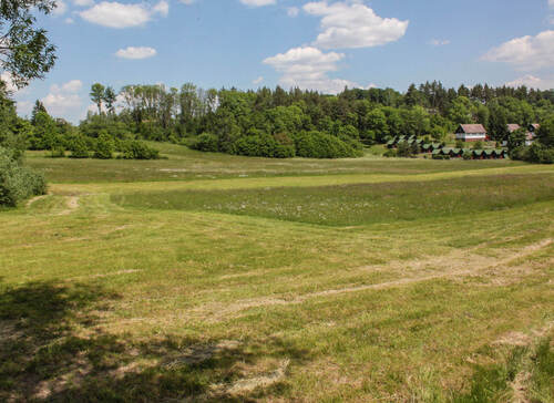Přírodní památka Oborská luka se nachází ve východní části CHKO blíže k Jíčinu