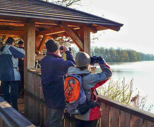 Vyhlídková ptačí rozhledna na hrázi největšího rybníka Českého ráje Žabakor.  Foto Vojtěch Šťastný