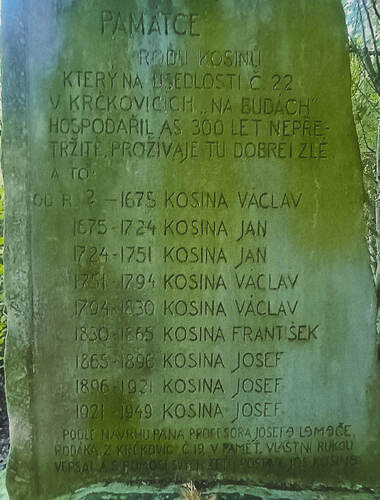 Památník rodu Kosinů nad rybníkem Věžák. Foto Jan Višinský 