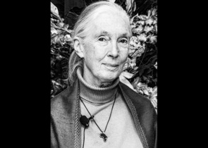 Naděje Jane Goodallové