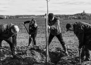 Jak jsme s obcemi a hospodáři společně vysadili alej k připomenutí 70 let CHKO Český ráj