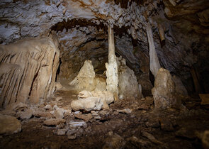 Jeskynní mločíci Sardinie