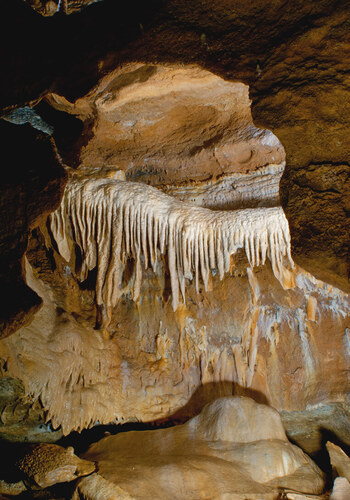 Krápníkové Varhany, tradiční propagační obrázek Koněpruských jeskyní. Krápníkové Varhany, tradiční propagační obrázek Koněpruských jeskyní.