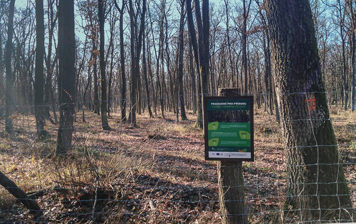 Tabule v EVL Hodonínská Dúbrava s informacemi o managementových opatřeních. Tabule v EVL Hodonínská Dúbrava s informacemi o managementových opatřeních.