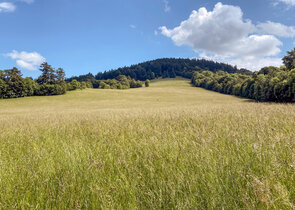 Význam agrárních struktur Velkého Roudného pro přežití endemického plže