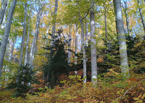 Na Špičáku nejsou jenom jeskyně