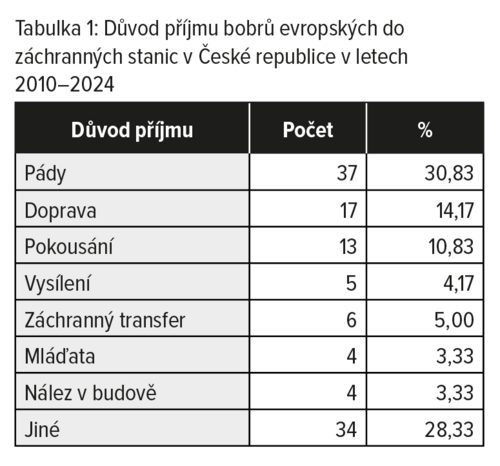 Tabulka 1: Důvod příjmu bobrů evropských do záchranných stanic v České republice v letech 2010–2024