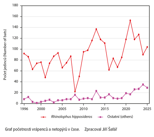 Graf početnosti vrápenců a netopýrů v čase.
