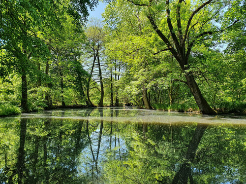 Obr. 2: Krása říčních ramen ve východním Polabí. Foto Michal Vávra