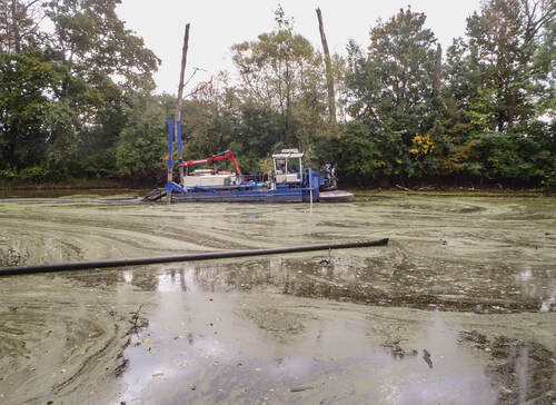 Obr. 3: Sací bagr v lokalitě Labiště pod Opočínkem. Foto Michal Vávra