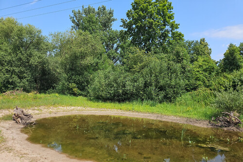 Obr. 6: Vytvořená tůň v lokalitě na Průhoně. Foto Michal Vávra