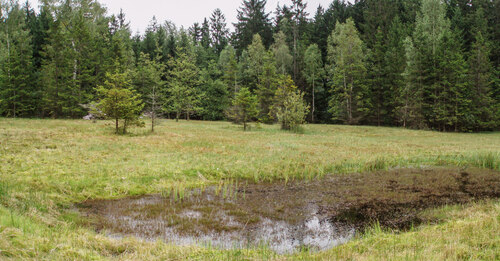 Obr. 2: Evropsky významná lokalita Na pramenech u Horní Lhoty  Foto Pavel Pešout