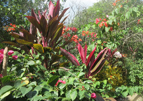 Biodiverzita – komplexní téma pro výzkum