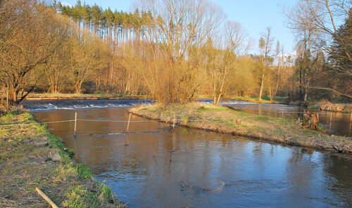 Obr. 3: Trdliště bolena pod jezem Bělský Mlýn s nainstalovaným telemetrickým systémem pro záznam označených bolenů. Foto David Kortan Obr. 3: Trdliště bolena pod jezem Bělský Mlýn s nainstalovaným telemetrickým systémem pro záznam označených bolenů. Foto David Kortan