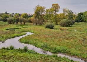 Významné krajinné prvky v nařízení o obnově přírody
