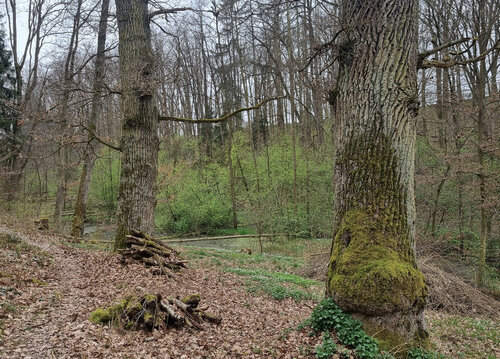 Obr. 2: Vorlinské údolí navazující na vlašimský zámecký park. Foto Pavel Pešout