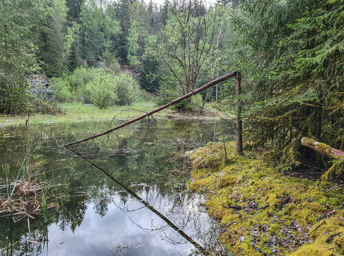 Obr. 6: Lomy, pískovny, hliníky a další místa v minulosti narušená těžbou surovin představují dnes v krajině ostrovy biodiverzity a často jde o registrované VKP. Foto Pavel Pešout