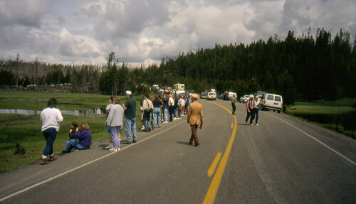 Obr. 5: Řada turistických destinací trpí příliš intenzivní turistikou. První národní park na světě, Yellowstonský, navštívilo v roce 2024 4,7 milionu turistů. Foto Jan Plesník