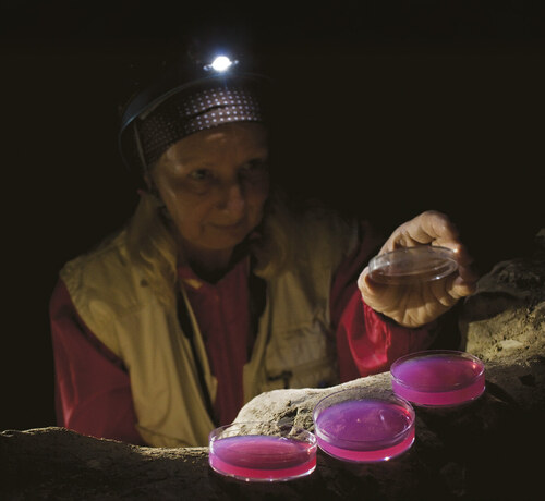 Dr. Alena Nováková odebírá vzorky spor mikroskopických hub v jeskyni Limanu.  Foto Petr Zajíček