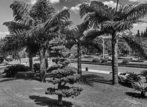 In Kungming, a city of seven million in southern China. Photo by Jan Plesník In Kungming, a city of seven million in southern China. Photo by Jan Plesník