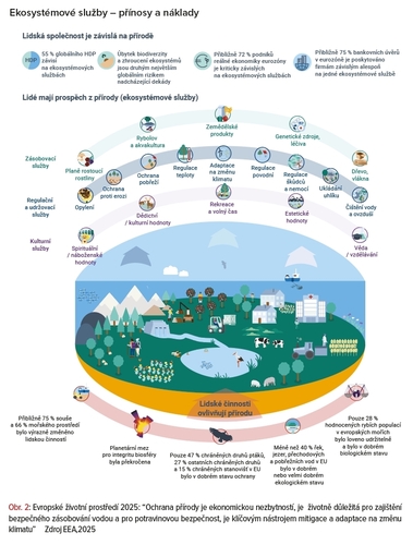 Schema Ekosystémové služby – přínosy a náklady