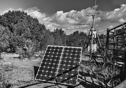 Scientists have been studying the impacts of climate change on the local nature—including Europe’s largest sand dunes—for some time now, using several research plots for this purpose. Photo by Jan Plesník