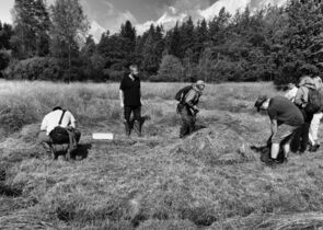 Summary – Ochrana přírody 2/2026