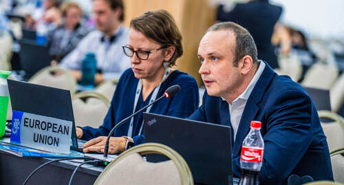 Obr. 3: Ondřej Klouček z Ministerstva životního prostředí prezentuje stanovisko Evropské unie k návrhu usnesení týkajícího se ochrany velkých kočkovitých šelem. Foto Danny Skilton, IISD/ENB