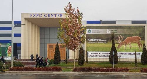 Obr. 2: Výstaviště na okraji Samarkandu. Foto Jakub Makal 