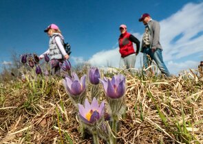 Češi podporují ochranu přírody