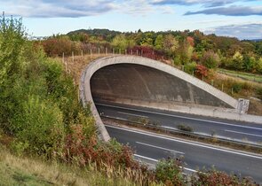 Jsou ekodukty využívány živočichy a kde se vlastně nacházejí?