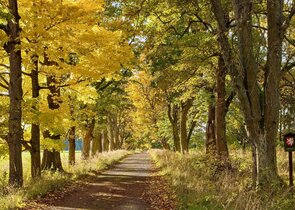 10 let CHKO Brdy – ostrova horské přírody uprostřed Čech