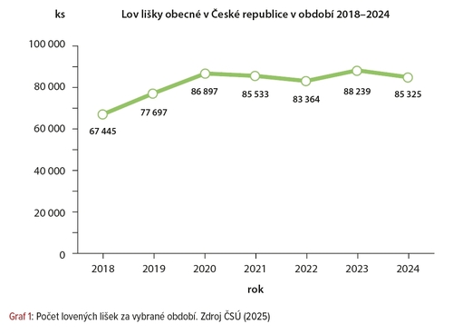 Graf 1: Počet lovených lišek za vybrané období. Zdroj ČSÚ (2025)