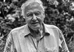 David Attenborough: muž, který několikrát předběhl dobu