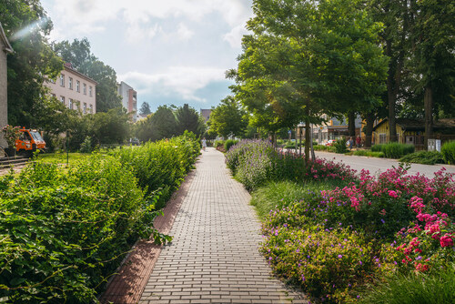 Obr. 5: Moravská Třebová, ulice Svitavská: revitalizace rozvojové osy systému zeleně realizovaná na základě koncepčního návrhu a doporučení ze Studie systému sídelní zeleně. Autor ateliér Šteflovi. Foto Jan Retter Obr. 5: Moravská Třebová, ulice Svitavská: revitalizace rozvojové osy systému zeleně realizovaná na základě koncepčního návrhu a doporučení ze Studie systému sídelní zeleně. Autor ateliér Šteflovi. Foto Jan Retter