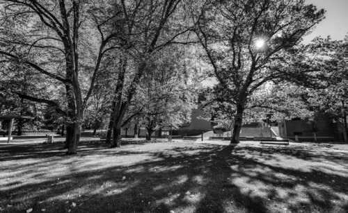 Importance of urban greenery/green spaces increases in relation to climate change. Photo by Jan Retter