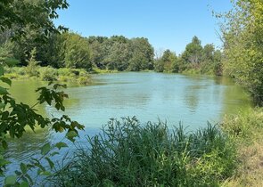 Restoration of the Structure and Water Regime the Valley Floodplains at the Confluence of the Morava
