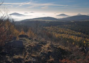 Pátá dekáda existence CHKO Lužické hory ve znamení kůrovce a vlka