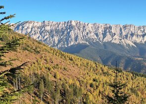 Conservation Carpathia – nestátní chráněné území v Rumunsku