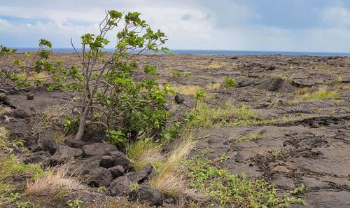 Národní park Havajské sopky na největším havajském ostrově Hawaiʻi.